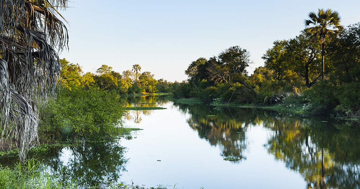 Autocamper leje Livingstone